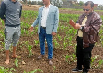 مكافحة الآفات