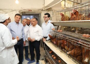 وزير الزراعة