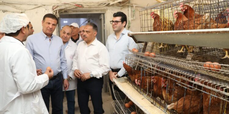 وزير الزراعة ومحافظ الشرقية يتفقدان مشروعات التعاون والإصلاح الزراعي بالمحافظة 1 وزير الزراعة