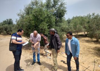 “بحوث الصحراء” يواصل دعم دمج أبناء سيناء في التنمية الزراعية المستدامة