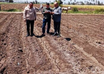 زراعة البحيرة