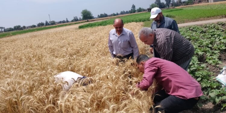 زراعة الشرقية