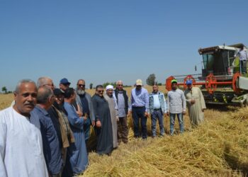 “الزراعة ” تواصل متابعة أعمال حصاد وتوريد القمح بالمحافظات