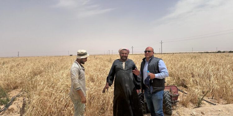 “بحوث الصحراء” يواصل المرور الميداني على التجمعات الزراعية بشمال ووسط سيناء لدعم المزارعين 1 بحوث الصحراء