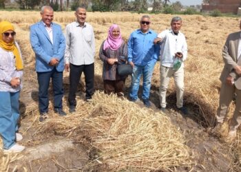 زراعة الفيوم