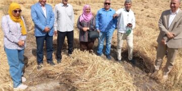 «زراعة الفيوم» توصي مزارعي القمح بتوريد المحصول للشون والصوامع 3 زراعة الفيوم