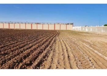 دور اللقاحات الميكروبية في الحد من استخدام المبيدات