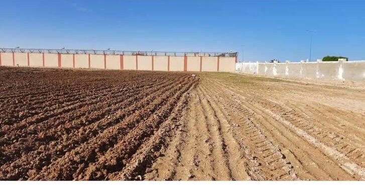دور اللقاحات الميكروبية في الحد من استخدام المبيدات 1 دور اللقاحات الميكروبية في الحد من استخدام المبيدات