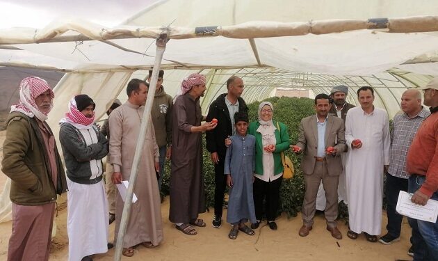 مركز بحوث الصحراء