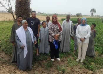 البحوث الزراعية