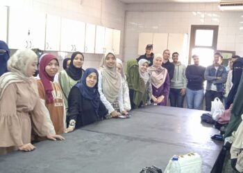 تكنولوجيا الأغذية