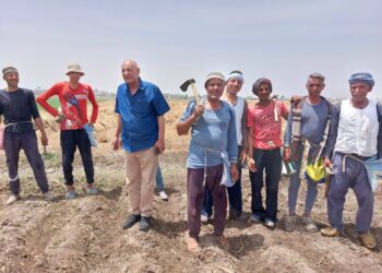 زراعة أسيوط