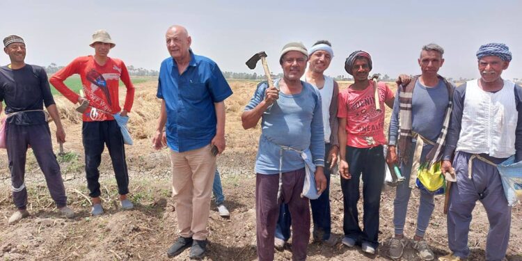 «زراعة أسيوط»: تشارك بحصاد القمح..وإزالة حالات تعدى على أراضى زراعية بالقوصية 1 زراعة أسيوط