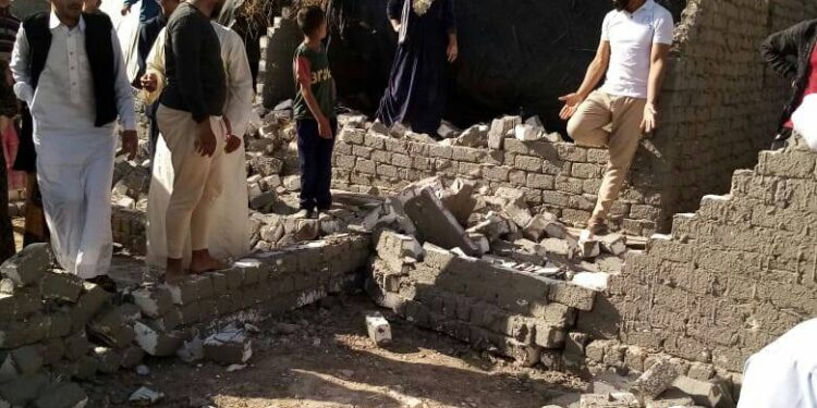 زراعة الإسكندرية