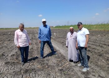 زراعة الإسماعيلية