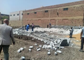 زراعة الجيزة