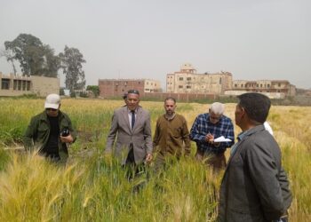 زراعة الشرقية