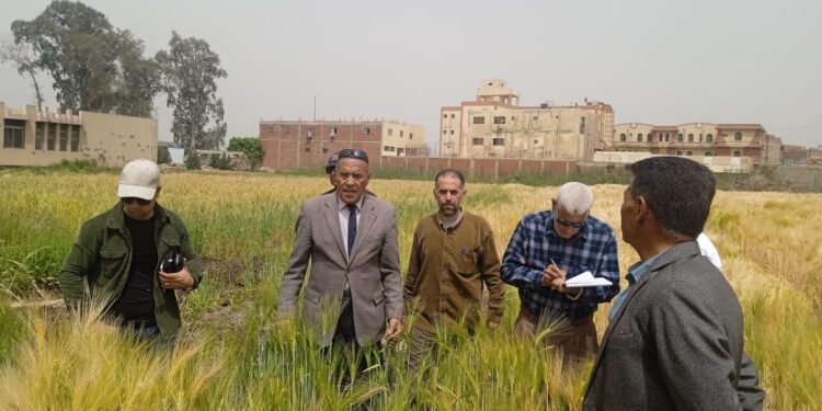 زراعة الشرقية