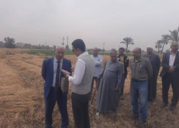 زراعة الشرقية