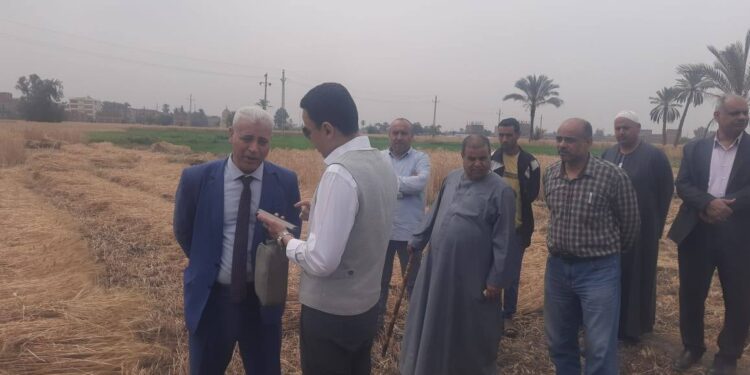«زراعة الشرقية »: تواصل متابعة حصاد وتوريد القمح ..وفرق إرشادية عن ترشيد الاستهلاك الغذائي 1 زراعة الشرقية