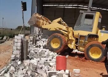 زراعة المنيا