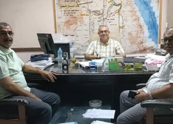 زراعة الوادي الجديد