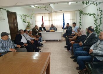 زراعة دمياط