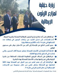 IMG 20250515 WA0032