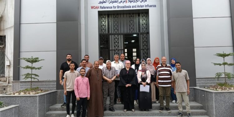بحوث الصحة الحيوانية ينظم دورة تدريبية لعدد 17 من صغار مربي الدواجن بالمحافظات 1 بحوث الصحة الحيوانية ينظم دورة تدريبية لعدد 17 من صغار مربي الدواجن بالمحافظات