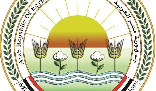 «الزراعة»: لم يتم تسجيل حالات نفوق في مزارع الدواجن والتحصينات متوفرة 1 الزراعة لم نرصد إصابات في مزارع الدواجن