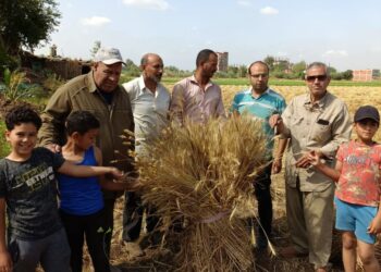 المركزية للإرشاد الزراعي