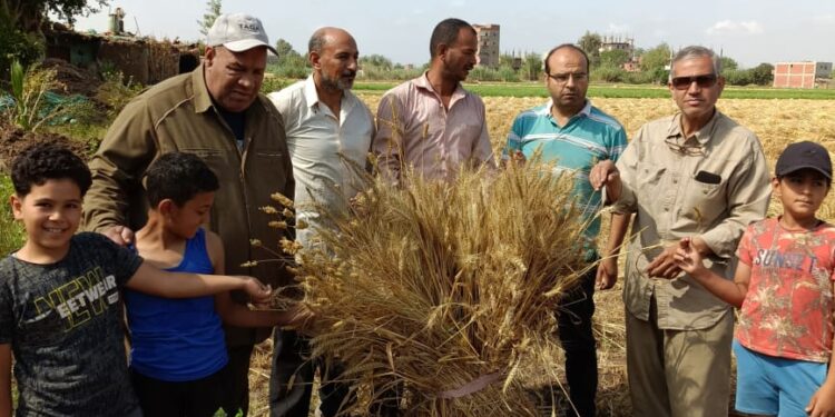 "المركزية للإرشاد الزراعي" تنفذ 12 نشاط إرشادي متنوع لتقديم الدعم الفني للمزارعين في 9 محافظات 1 المركزية للإرشاد الزراعي