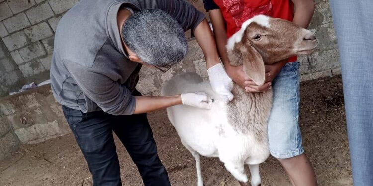 بحوث الصحراء