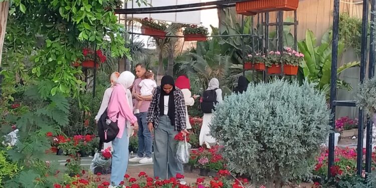 زهور الربيع