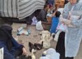 الزراعة
