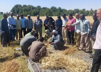 تحسين الأراضي