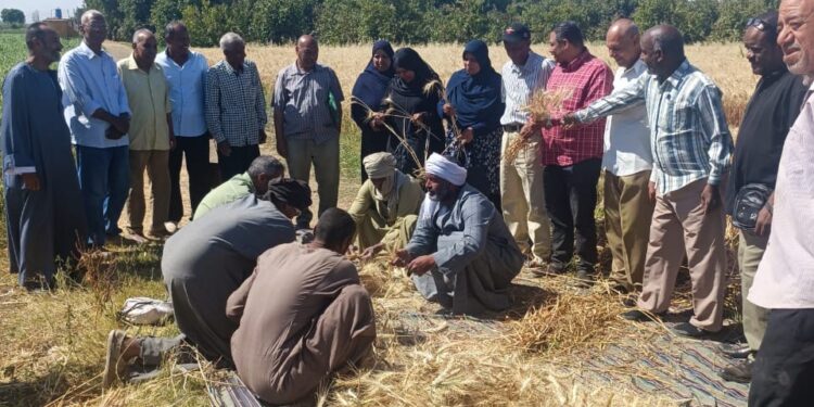 تحسين الأراضي