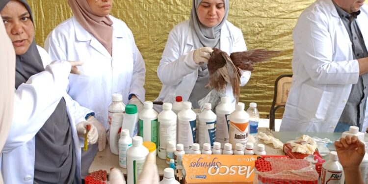 "الزراعة" تطلق 9 قوافل بيطرية علاجية مجانية في 5 محافظات 1 الزراعة