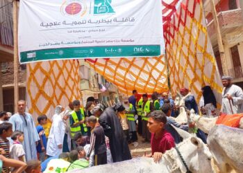 التناسليات الحيوانية