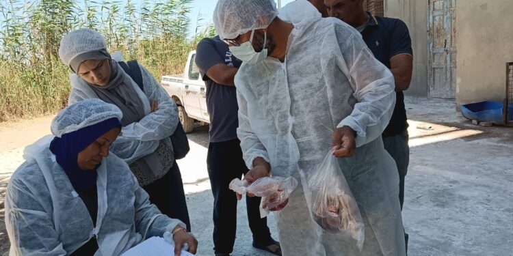 وزير الزراعة