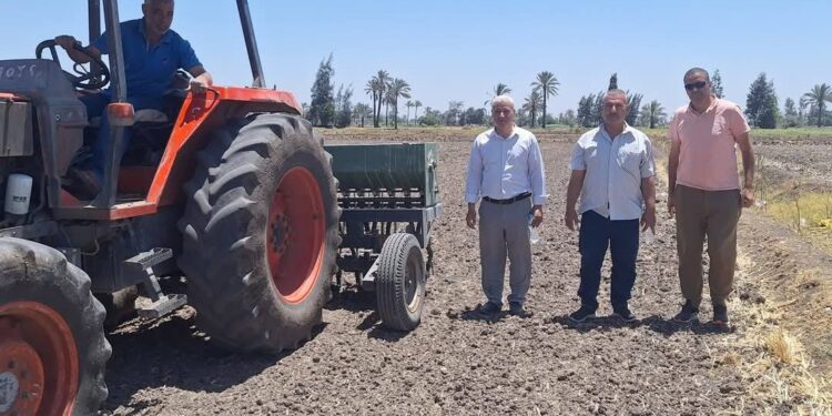 « زراعة الشرقية » :زراعة 15 فدان حقل إرشادي أرز بالسطارة المحلية بديرب نجم 1 زراعة الشرقية