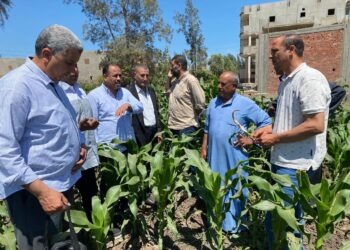 وزارة الزراعة