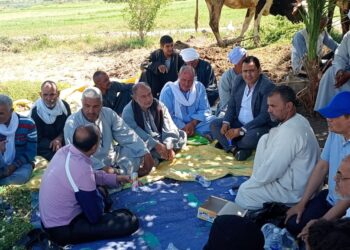 “المركزية للإرشاد الزراعي” تنفذ أكثر من 400 ندوة لدعم 6000 مزارع خلال أسبوع