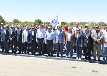 الريف المصري الجديد