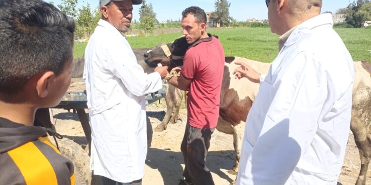 "الزراعة" تطلق قوافل بيطرية مجانية لرعاية أكثر من 15 ألف رأس حيوان وطائر في قرى 10 محافظات 1 الزراعة