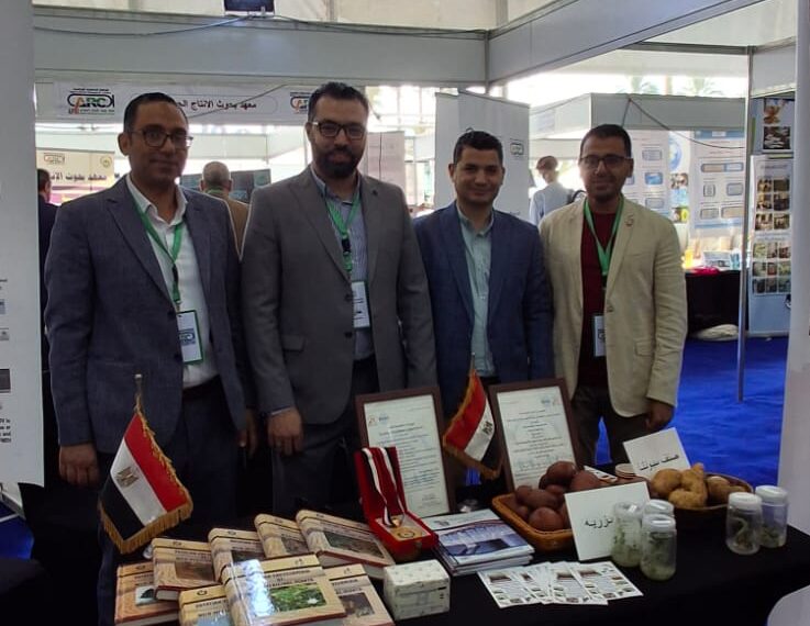 الهندسة الوراثية يعرض عينات من البطاطس والتين الشوكي منتجة من خلال زراعة الأنسجة 1 الهندسة الوراثية