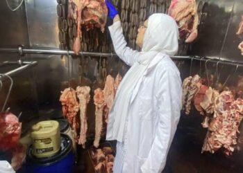 الخدمات البيطرية