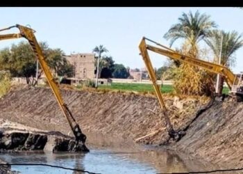 زراعة الشرقية