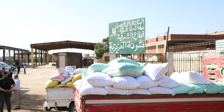 أبو السعود: شون البنك الزراعي استقبلت 600 ألف طن قمح من المزارعين 1 البنك الزراعي