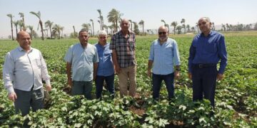 « زراعة أسيوط » تزيل التعديات في 5 إدارات زراعية ..وتتابع الزراعات الصيفية 5 زراعة أسيوط
